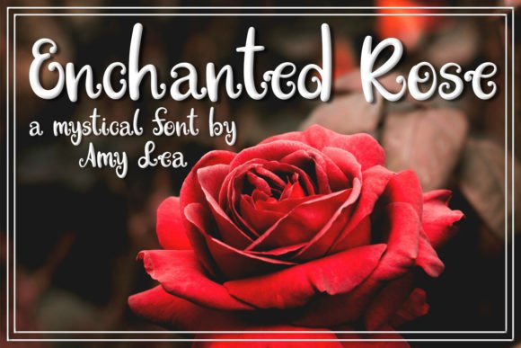 Enchanted Rose Font Review for Web Designers