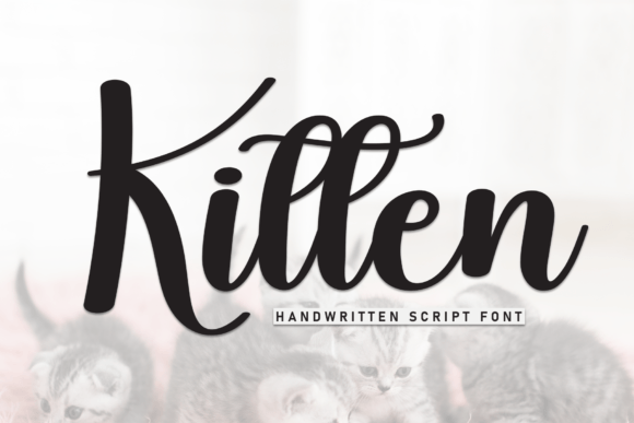 Kitten: An Elegant Script Font for Editorial Design