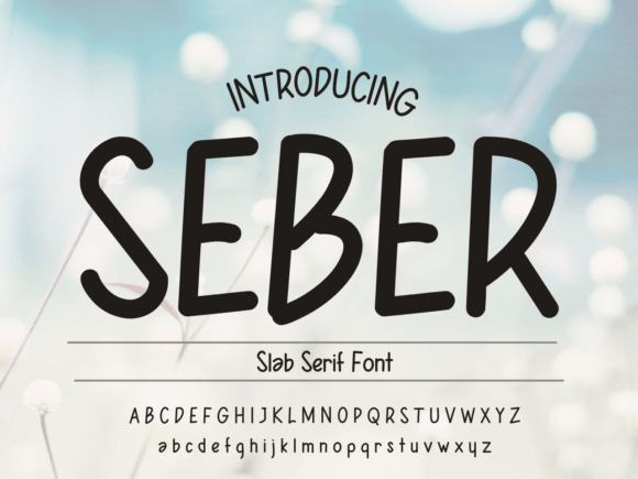 Seber: A Friendly Handwritten Font for Small Business Branding
